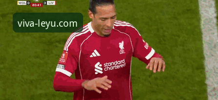 掌握足总杯动态：利物浦3-1狼队赛事深度解析与乐鱼体育平台体验指南